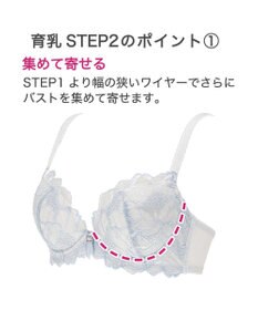 BRADELIS New York 【BRADELIS New York / 育乳ブラ・STEP2 寄せる】　ベルステップ2ブラ22A1