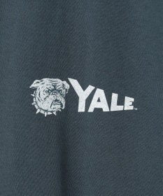 J.PRESS YORK STREET 【UNISEX】YALEペナント Tシャツ