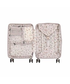 ACE BAGS & LUGGAGE HaNT ヘイヘイTR スーツケース 40L 機内持込  05180 ハント