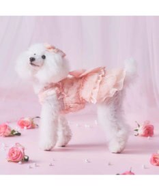PET PARADISE cherircouture メニ―ローズ ワンピース ピンク 小型犬