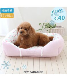 PET PARADISE ペットパラダイス クールカドラー 角型《いちご＆お花柄》 小型犬