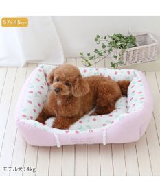 PET PARADISE ペットパラダイス クールカドラー 角型《いちご＆お花柄》 小型犬