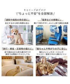 PET PARADISE スヌーピー ワッペン 折り畳み キャリーバッグ Ｍ
