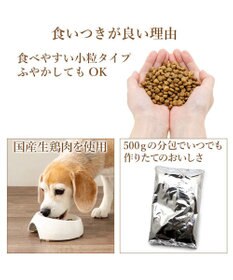 PET PARADISE ビオキッチン エイジングネオ ５００ｇ