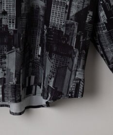 WEGO アムンゼンパターンBIGシャツ（LS）