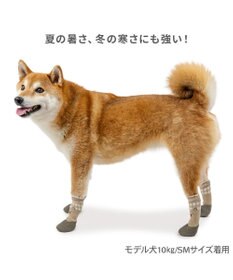 PET PARADISE ペットパラダイス くまちゃん フィット靴 ＳＭ