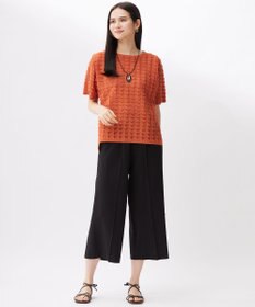 自由区 【カタログ掲載・セットアップ対応・接触冷感・UVカット・吸水速乾・抗菌防臭・洗える】ハイカウントモクロディ パンツ