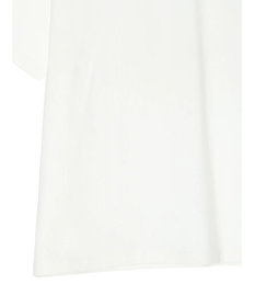 AMERICAN HOLIC Ｔｏｗｎ　Ｓｔｒｅｅｔ　Ｐｈｏｔｏ　Ｔｅｅ