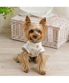 PET PARADISE ペットパラダイス 甚平 《くま いっぱい柄》 小型犬