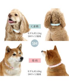 PET PARADISE ペットパラダイス 28℃クールリング SUO 《くま柄》 〔ＳＭ〕 中型犬