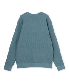 JOSEPH HOMME 【新柄】ヴィスコースリンクス　クルーネックニット