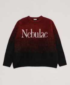 WEGO 【ユニセックス着用ITEM/MLサイズ展開】ファジーグラデーションプルオーバー