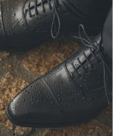 REGAL FOOT COMMUNITY 【リーガルドレス】 233S ストレートチップ （GORE-TEX フットウェア）ビジネスシューズ 【公式WEBショップ限定】