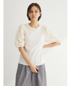 Green Parks ・ＳＵＧＡＲ　ＳＰＯＯＮ　フハクドットスリーブＴＥＥ