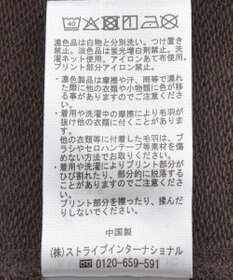 AMERICAN HOLIC 【WEB限定】BRUNSWICK GEORGIA BIGスウェット