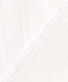 J.PRESS LADIES L 【WEB限定・洗える】セルロースカラミストライプ キーネック ブラウス