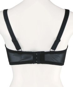 San-ai Resort（三愛水着楽園） 【エレガントコレクション2404】単品ブラHIカップ  【northerly】