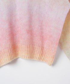 WEGO グラデーションメッシュニット