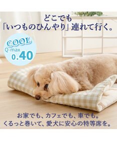 PET PARADISE ディズニー くまのプーさん クール ロールマット 《のんびり柄》