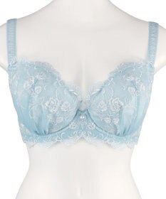 San-ai Resort（三愛水着楽園） 【エレガントコレクション2404】単品ブラHIカップ  【northerly】