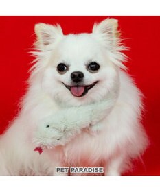 PET PARADISE ペットパラダイス 干支 巳 マフラー 《 グリーン》 小型犬 ＳＳ～ＳＭ・ＤＳ・ＤＭ