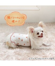 PET PARADISE ペットパラダイス ペティヒート 天竺 腹巻 《いちご柄》 小型犬