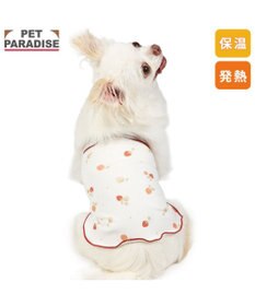 PET PARADISE ペットパラダイス ペティヒート 天竺 腹巻 《いちご柄》 小型犬