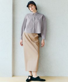 ANY 【POLO BCS別注】プレッピークロップドシャツ