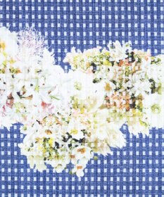 TOCCA 【Archive Collection】【洗える】BOUQUET ドレス