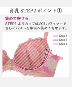 BRADELIS New York 【BRADELIS New York/ 育乳補整ブラ・STEP2 寄せる】ベルステップ2ブラ25A1 谷間を作ってキープ
