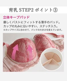 BRADELIS New York 【BRADELIS New York/ 育乳補整ブラ・STEP2 寄せる】ベルステップ2ブラ25A1 谷間を作ってキープ