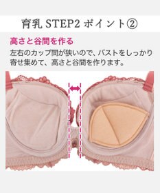 BRADELIS New York 【BRADELIS New York/ 育乳補整ブラ・STEP2 寄せる】ベルステップ2ブラ25A1 谷間を作ってキープ