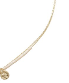 AMERICAN HOLIC プレンティコイン2連ネックレス