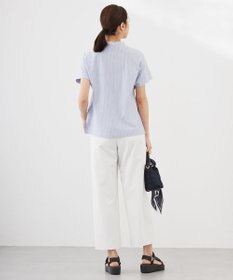 J.PRESS LADIES L ストライプジャージー ドルマンスリーブ カットソー