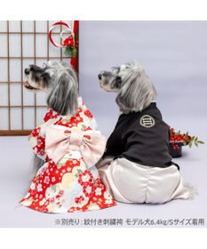 PET PARADISE ペットパラダイス 菊 牡丹 着物 小型犬