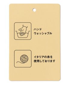 ANY L 【手洗い可】イタリーヤーンウールカシミヤミックスプルオーバー