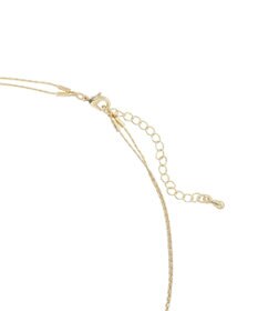 AMERICAN HOLIC プレンティコイン2連ネックレス