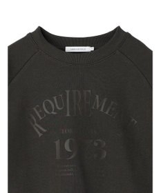 AMERICAN HOLIC ラグランロゴスウェット2