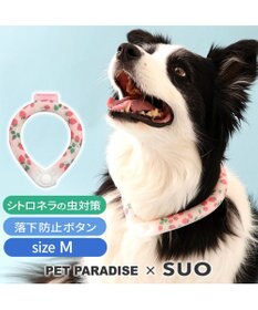 PET PARADISE ペットパラダイス 28℃クールリング SUO 《いちご柄》 〔Ｍ〕 中型犬