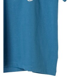 AMERICAN HOLIC ＰＯＲＴＬＡＮＤロゴカットプルオーバー