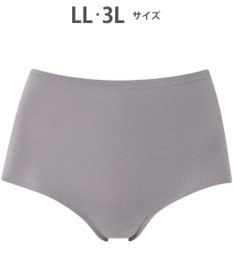 Wing ショーツ やさしい肌あたり ズレ上がりにくい しめつけにくい 【綿の贅沢 フラットショーツ】 はきこみ丈ふかめ 3Lまで対応 大きいサイズ EC3100 ウイング／ワコール