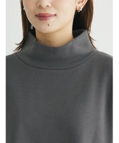 Green Parks Ｂｒｕｓｈｅｄ　タートル裏起毛チュニック