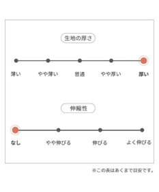 PET PARADISE スヌーピー ポンチョ 《にっこり チェック柄》中型犬 大型犬