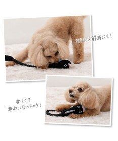 PET PARADISE  ペットパラダイス うなぎ ロープトイ《大》