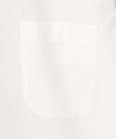 GOTAIRIKU 春夏向け【形態安定】SUMMERPREMIUMPLEATS_スナップダウンカラー _織柄_ 長袖ドレスシャツ(25年春夏モデル)