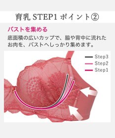 BRADELIS New York 【BRADELIS New York / 育乳補整ブラ・STEP1 集める】ウェンディソフトステップ1ブラ26S1