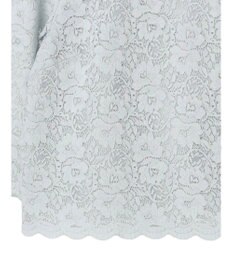 Green Parks ｅｆ－ｄｅ　レースブラウス