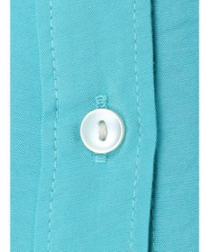 Green Parks レギュラーカラーシアーシャツ