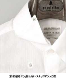 GOTAIRIKU 春夏向け【形態安定】SUMMERPREMIUMPLEATS_スナップダウンカラー 半袖ドレスシャツ(26年モデル)