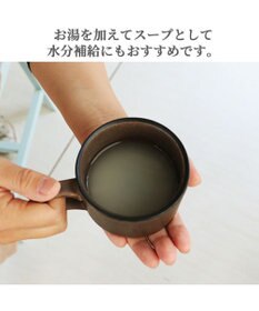 PET PARADISE リアルフードスティック 3種類アソートセット 10g×27本(プレーン9本・フローラケア9本・ロコモケア9本) 国産